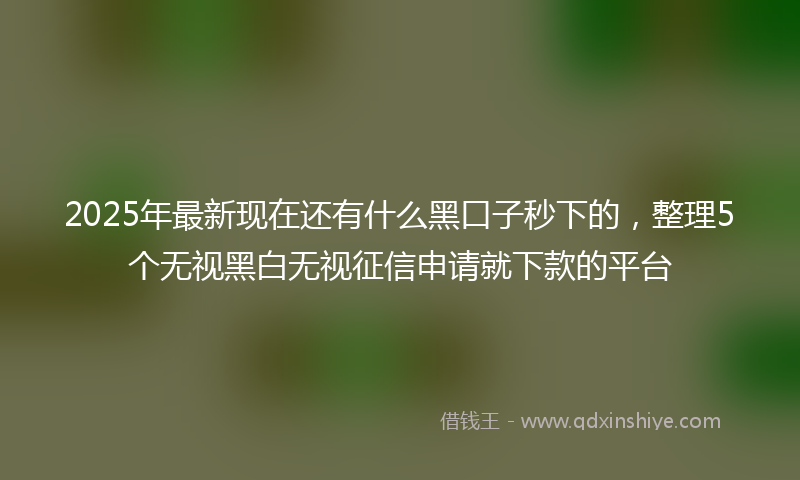 2025年最新现在还有什么黑口子秒下的，整理5个无视黑白无视征信申请就下款的平台