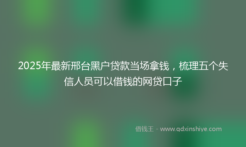 2025年最新邢台黑户贷款当场拿钱，梳理五个失信人员可以借钱的网贷口子