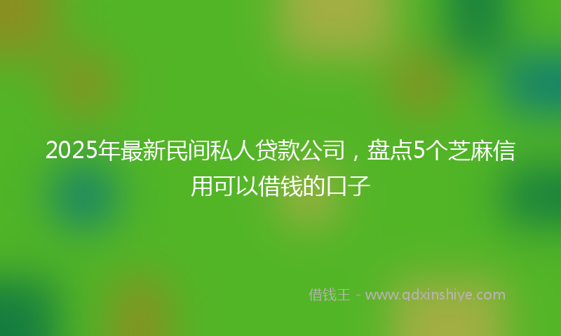 2025年最新民间私人贷款公司，盘点5个芝麻信用可以借钱的口子