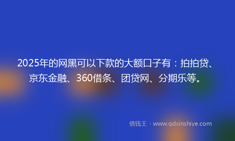 2025年的网黑可以下款的大额口子有：拍拍贷、京东金融、360借条、团贷网、分期乐等。