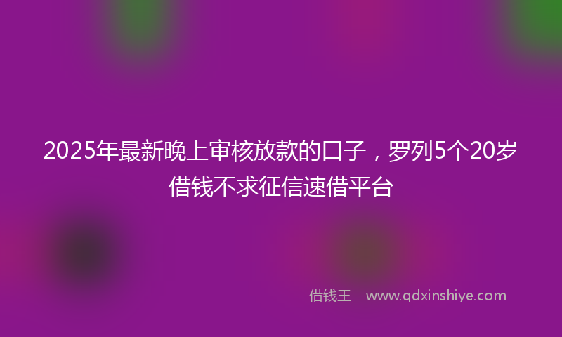 2025年最新晚上审核放款的口子，罗列5个20岁借钱不求征信速借平台