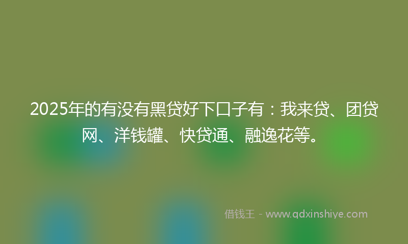 2025年的有没有黑贷好下口子有：我来贷、团贷网、洋钱罐、快贷通、融逸花等。