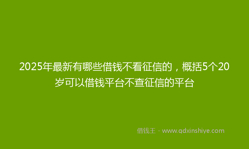 2025年最新有哪些借钱不看征信的，概括5个20岁可以借钱平台不查征信的平台