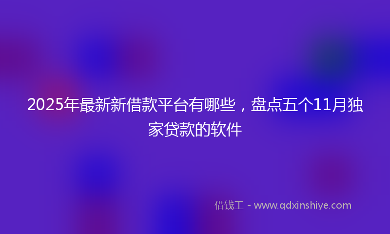 2025年最新新借款平台有哪些，盘点五个11月独家贷款的软件