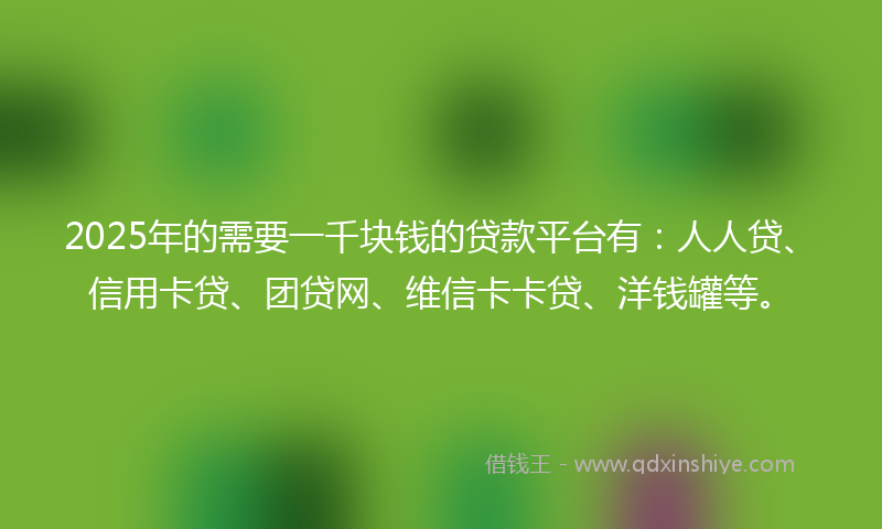 2025年的需要一千块钱的贷款平台有：人人贷、信用卡贷、团贷网、维信卡卡贷、洋钱罐等。