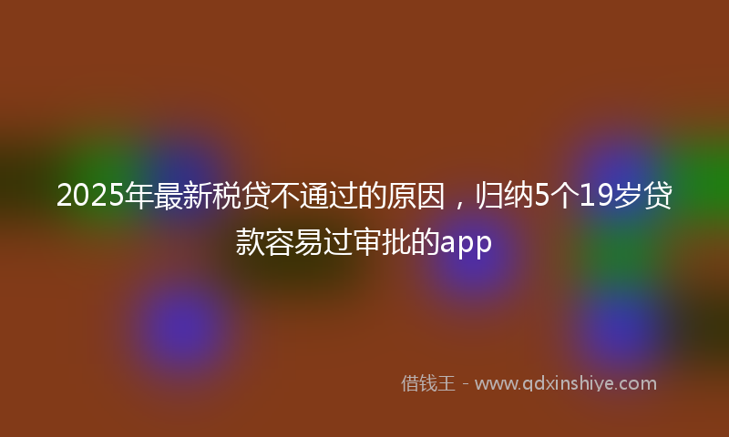 2025年最新税贷不通过的原因，归纳5个19岁贷款容易过审批的app