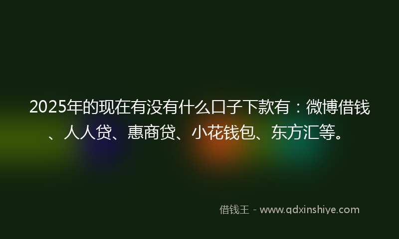 2025年的现在有没有什么口子下款有：微博借钱、人人贷、惠商贷、小花钱包、东方汇等。