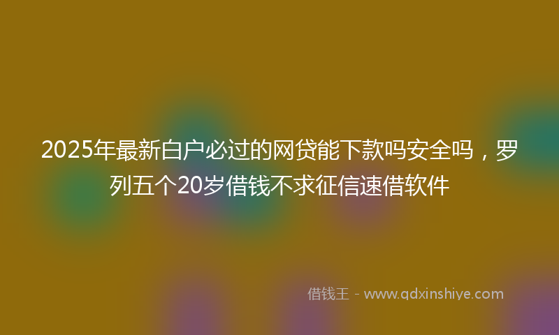 2025年最新白户必过的网贷能下款吗安全吗，罗列五个20岁借钱不求征信速借软件