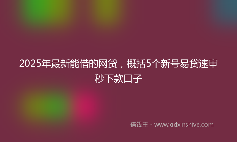 2025年最新能借的网贷，概括5个新号易贷速审秒下款口子