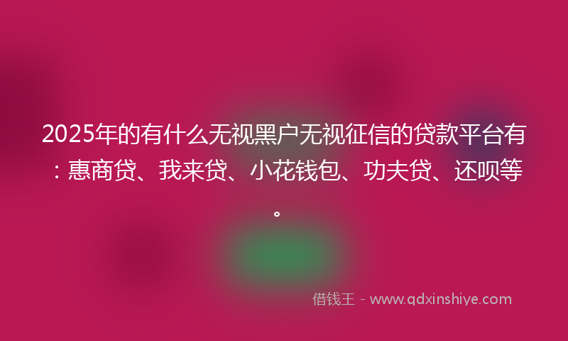 2025年的有什么无视黑户无视征信的贷款平台有：惠商贷、我来贷、小花钱包、功夫贷、还呗等。