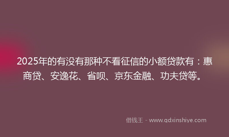 2025年的有没有那种不看征信的小额贷款有：惠商贷、安逸花、省呗、京东金融、功夫贷等。