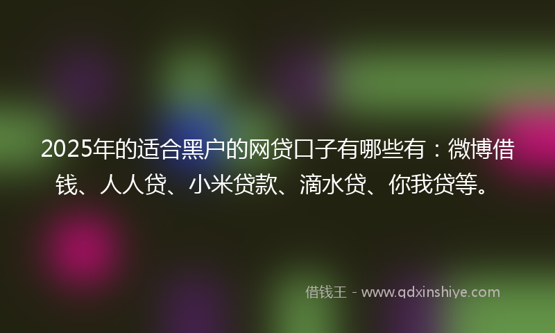 2025年的适合黑户的网贷口子有哪些有：微博借钱、人人贷、小米贷款、滴水贷、你我贷等。