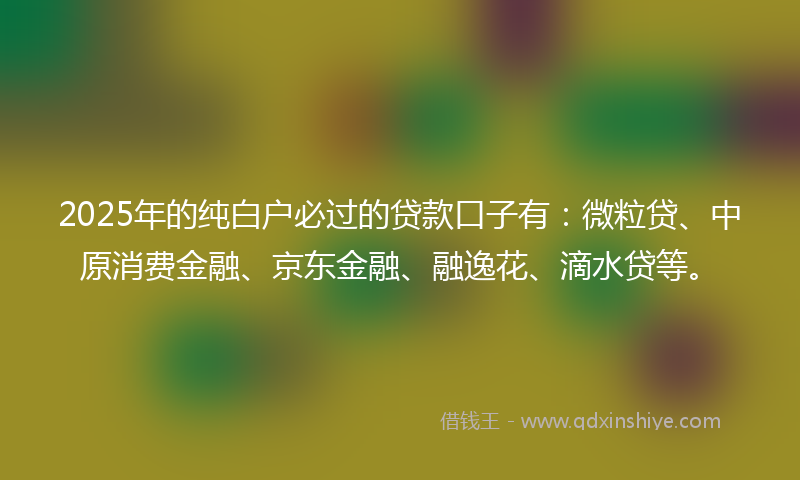 2025年的纯白户必过的贷款口子有：微粒贷、中原消费金融、京东金融、融逸花、滴水贷等。