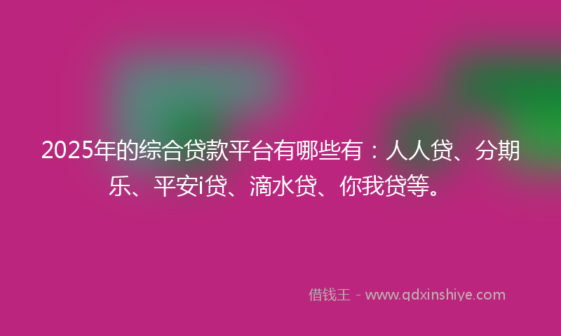 2025年的综合贷款平台有哪些有：人人贷、分期乐、平安i贷、滴水贷、你我贷等。