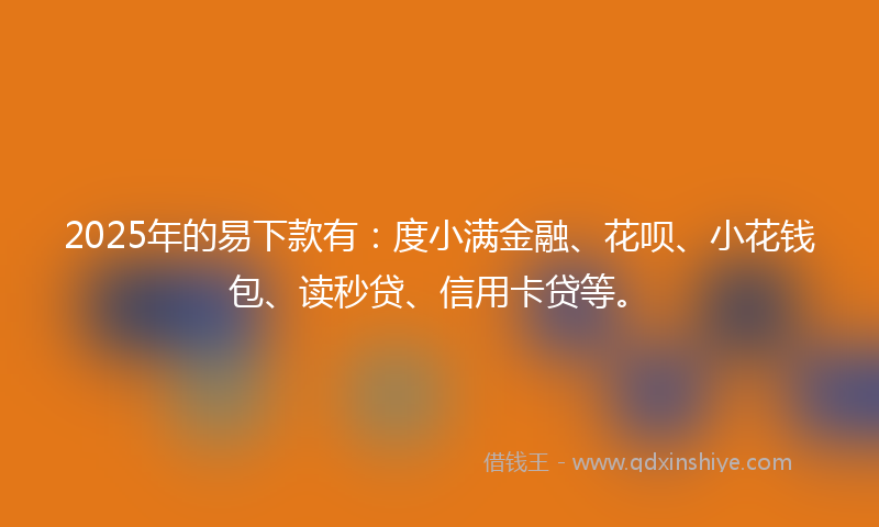 2025年的易下款有：度小满金融、花呗、小花钱包、读秒贷、信用卡贷等。