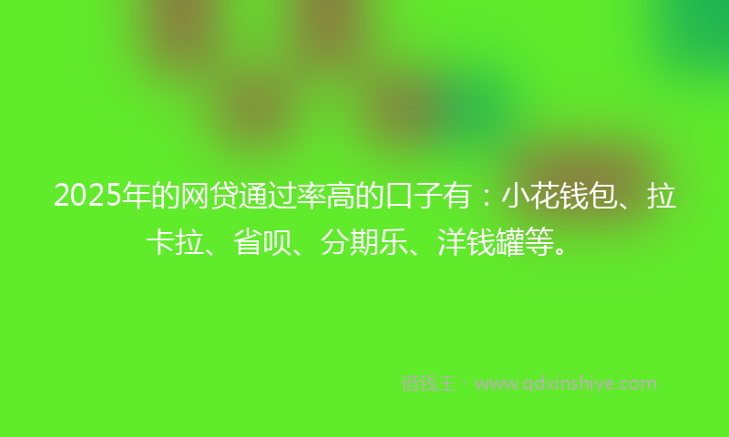 2025年的网贷通过率高的口子有：小花钱包、拉卡拉、省呗、分期乐、洋钱罐等。