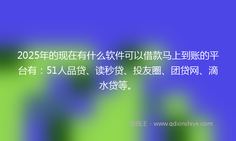 2025年的现在有什么软件可以借款马上到账的平台有：51人品贷、读秒贷、投友圈、团贷网、滴水贷等。