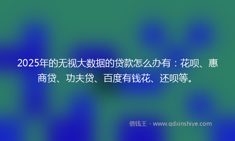 2025年的无视大数据的贷款怎么办有：花呗、惠商贷、功夫贷、百度有钱花、还呗等。