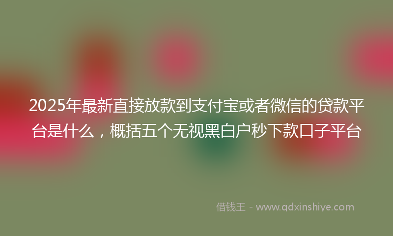 2025年最新直接放款到支付宝或者微信的贷款平台是什么，概括五个无视黑白户秒下款口子平台
