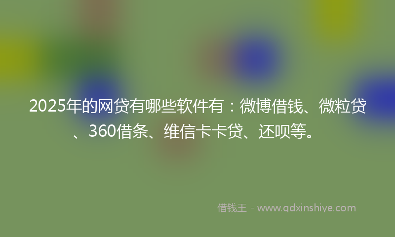 2025年的网贷有哪些软件有：微博借钱、微粒贷、360借条、维信卡卡贷、还呗等。