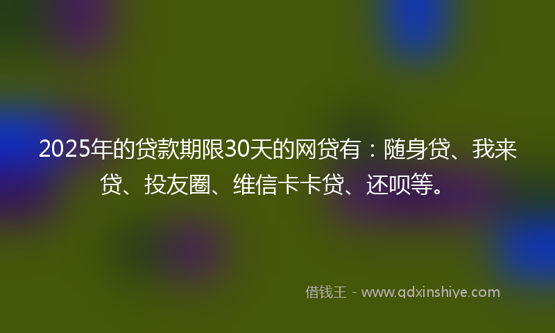 2025年的贷款期限30天的网贷有：随身贷、我来贷、投友圈、维信卡卡贷、还呗等。
