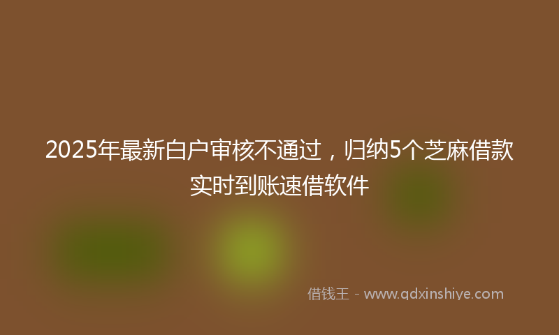2025年最新白户审核不通过，归纳5个芝麻借款实时到账速借软件