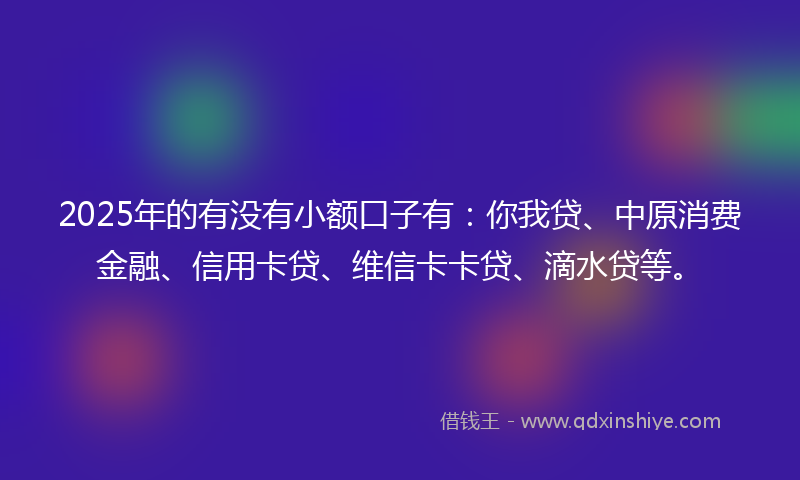 2025年的有没有小额口子有：你我贷、中原消费金融、信用卡贷、维信卡卡贷、滴水贷等。