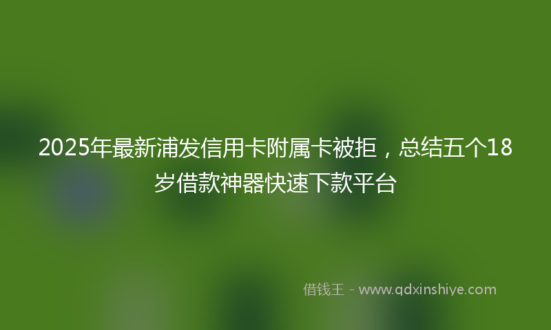 2025年最新浦发信用卡附属卡被拒，总结五个18岁借款神器快速下款平台