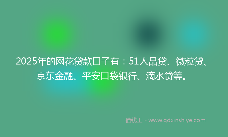 2025年的网花贷款口子有：51人品贷、微粒贷、京东金融、平安口袋银行、滴水贷等。
