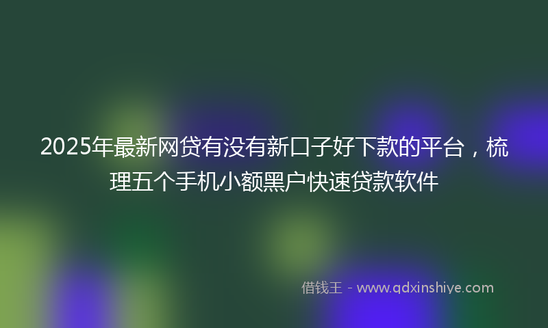 2025年最新网贷有没有新口子好下款的平台，梳理五个手机小额黑户快速贷款软件