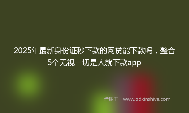 2025年最新身份证秒下款的网贷能下款吗，整合5个无视一切是人就下款app