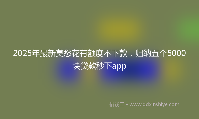 2025年最新莫愁花有额度不下款，归纳五个5000块贷款秒下app