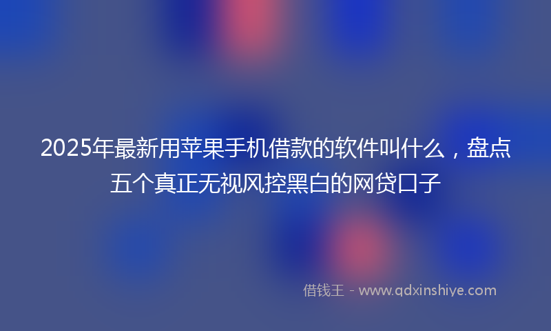 2025年最新用苹果手机借款的软件叫什么，盘点五个真正无视风控黑白的网贷口子