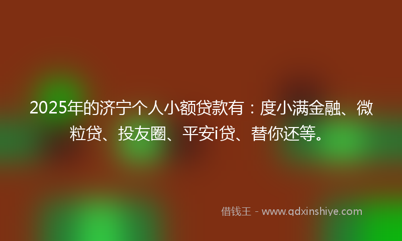 2025年的济宁个人小额贷款有：度小满金融、微粒贷、投友圈、平安i贷、替你还等。