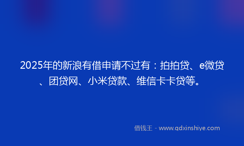 2025年的新浪有借申请不过有：拍拍贷、e微贷、团贷网、小米贷款、维信卡卡贷等。