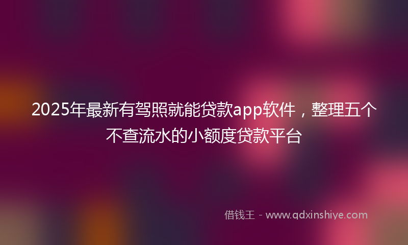 2025年最新有驾照就能贷款app软件，整理五个不查流水的小额度贷款平台
