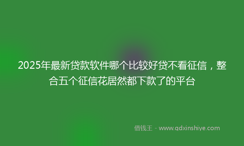 2025年最新贷款软件哪个比较好贷不看征信，整合五个征信花居然都下款了的平台