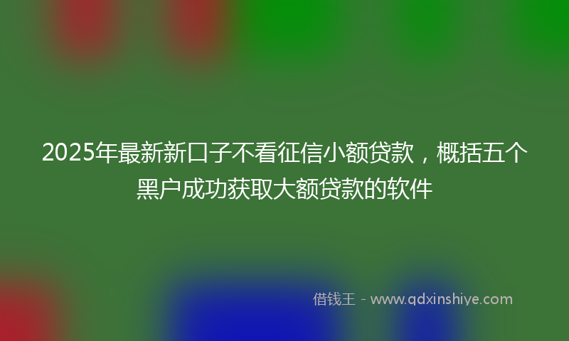 2025年最新新口子不看征信小额贷款，概括五个黑户成功获取大额贷款的软件