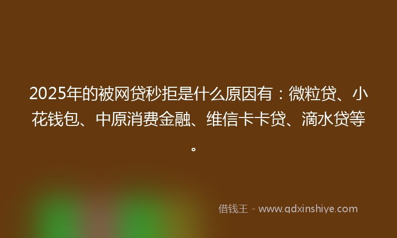 2025年的被网贷秒拒是什么原因有：微粒贷、小花钱包、中原消费金融、维信卡卡贷、滴水贷等。