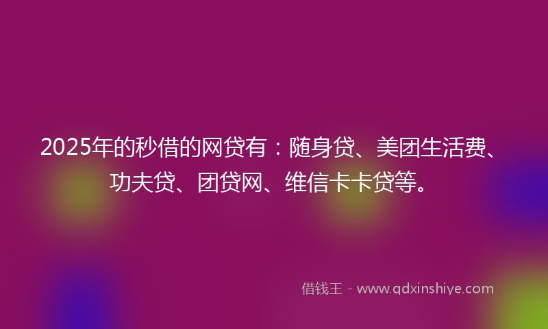 2025年的秒借的网贷有：随身贷、美团生活费、功夫贷、团贷网、维信卡卡贷等。