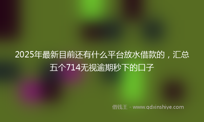 2025年最新目前还有什么平台放水借款的，汇总五个714无视逾期秒下的口子