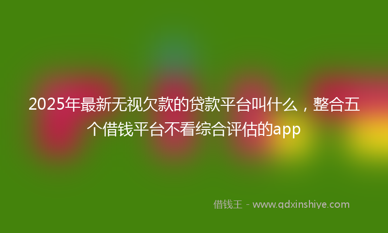 2025年最新无视欠款的贷款平台叫什么，整合五个借钱平台不看综合评估的app