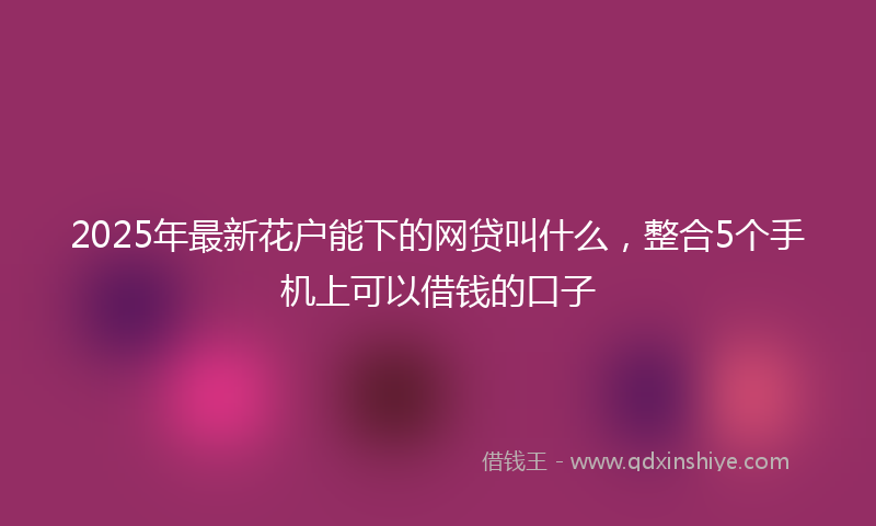 2025年最新花户能下的网贷叫什么，整合5个手机上可以借钱的口子