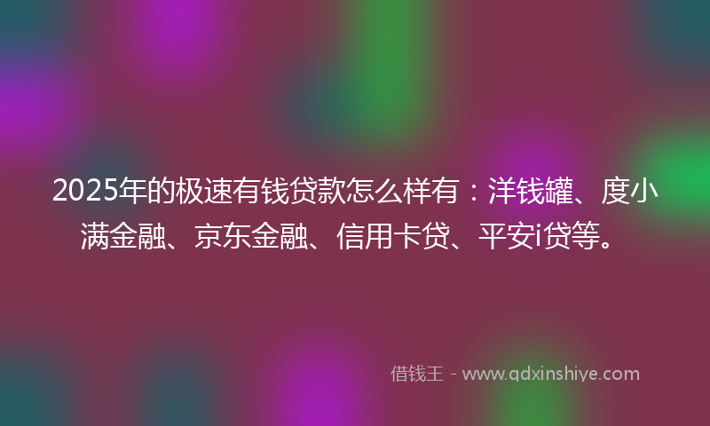 2025年的极速有钱贷款怎么样有：洋钱罐、度小满金融、京东金融、信用卡贷、平安i贷等。
