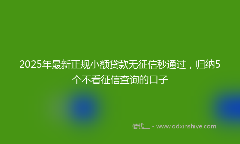 2025年最新正规小额贷款无征信秒通过，归纳5个不看征信查询的口子