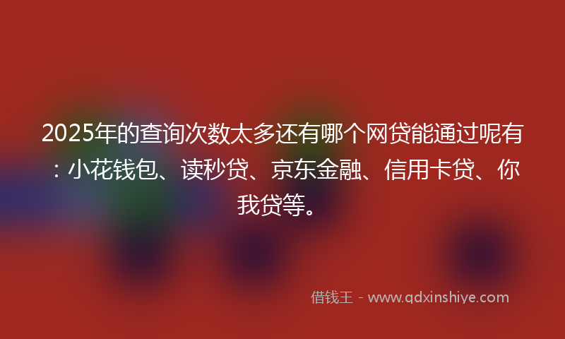 2025年的查询次数太多还有哪个网贷能通过呢有：小花钱包、读秒贷、京东金融、信用卡贷、你我贷等。