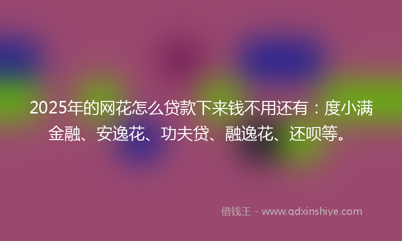 2025年的网花怎么贷款下来钱不用还有：度小满金融、安逸花、功夫贷、融逸花、还呗等。