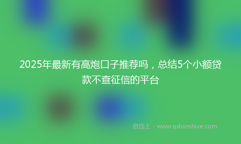 2025年最新有高炮口子推荐吗，总结5个小额贷款不查征信的平台