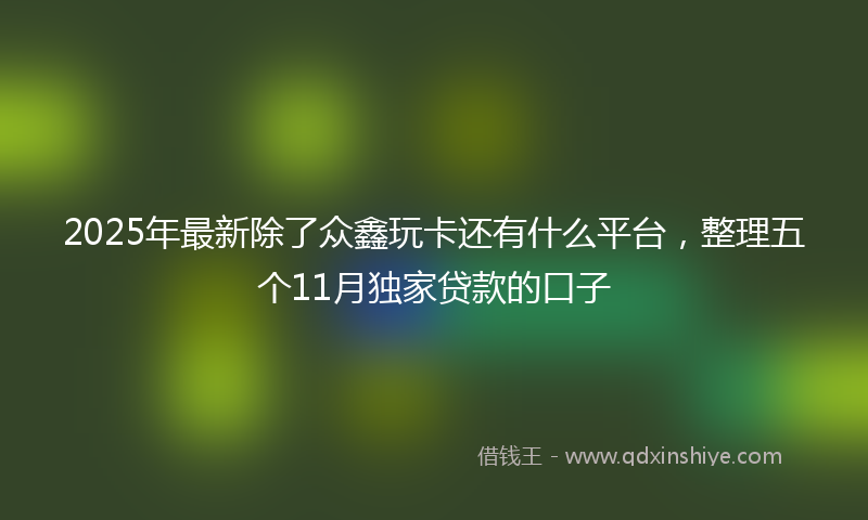 2025年最新除了众鑫玩卡还有什么平台，整理五个11月独家贷款的口子