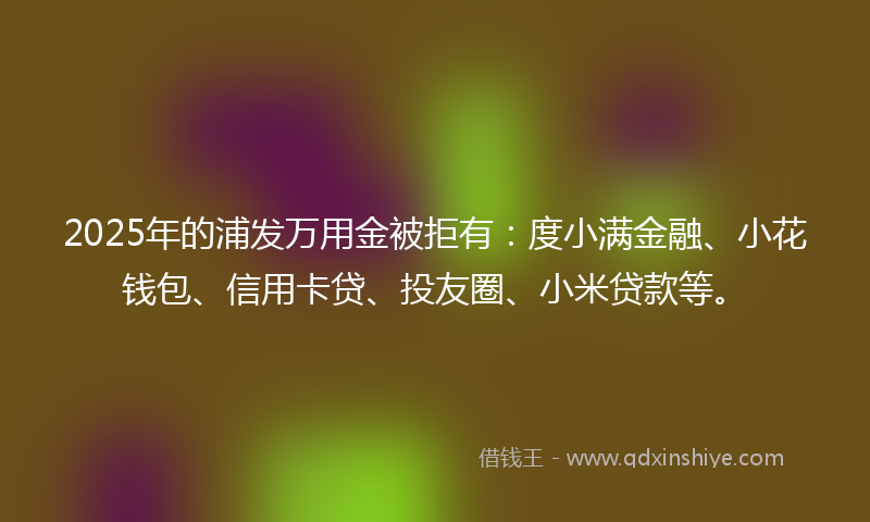 2025年的浦发万用金被拒有：度小满金融、小花钱包、信用卡贷、投友圈、小米贷款等。